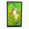 Vertical 55 inch Autostereoscopic 3D 4K 1080p i5 PC Lenticular Holographic 2000nits Display Monitor System 55" Glasses-Free 3D